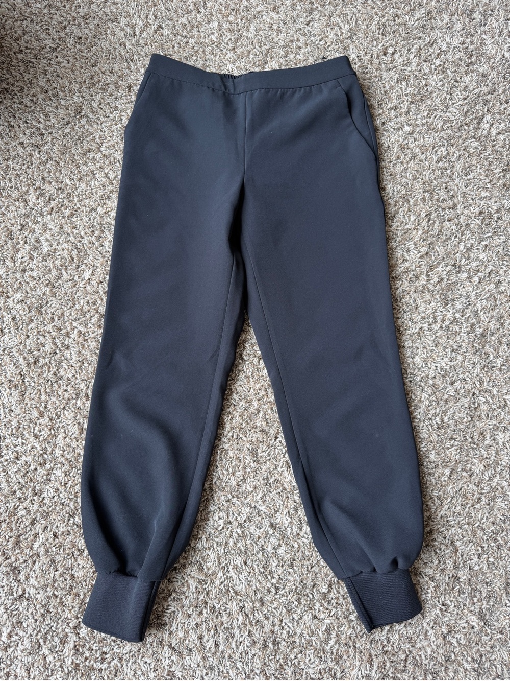 Express Women’s Black Jogger Dress Pant